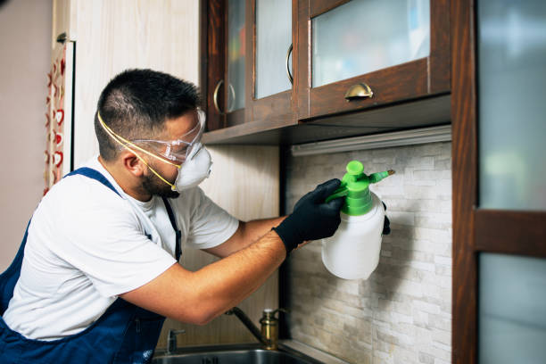 Best Pest Control Treatment  in Luverne, AL