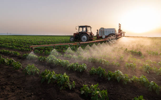 Best Best Pest Control Companies  in Luverne, AL