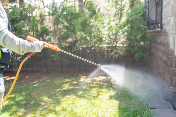 Best Affordable Pest Control Services  in Luverne, AL