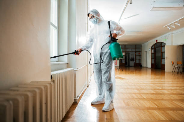 Best Ant Control Services  in Luverne, AL