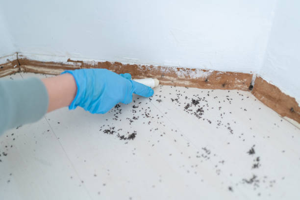 Best Wildlife Control Services  in Luverne, AL