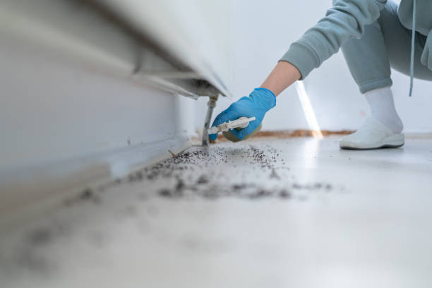 Best Pest Inspection Near Me  in Luverne, AL